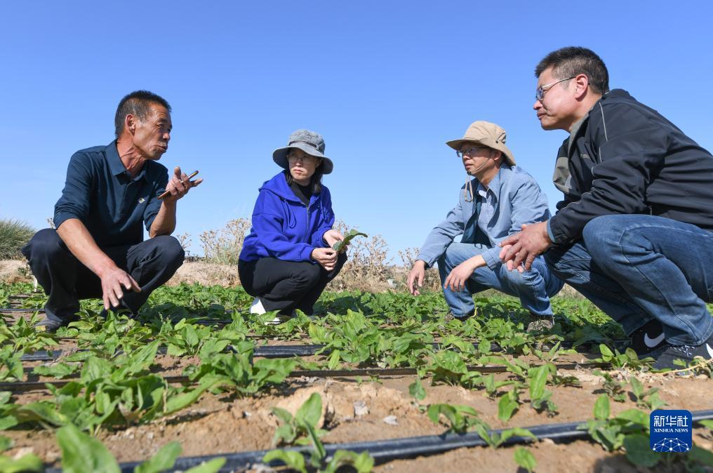 捕鱼游戏捕鱼